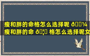 瘦和胖的命格怎么选择呢 🌼 （瘦和胖的命 🦅 格怎么选择呢女生）